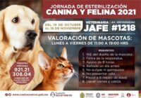 Jornada de esterilización canina en Coatzacoalcos Jornada de esterilización canina en Coatzacoalcos