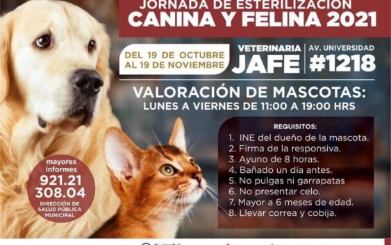 Jornada de esterilización canina en Coatzacoalcos