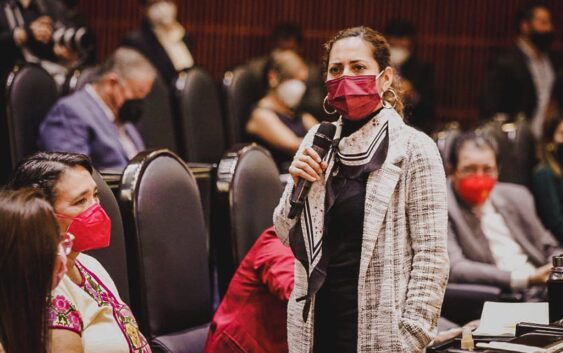 *Se suma Tania Cruz a la Comisión de Energía en San Lázaro; van por la reforma