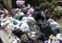 Hay falta de recolección de basura en colonias de Xalapa