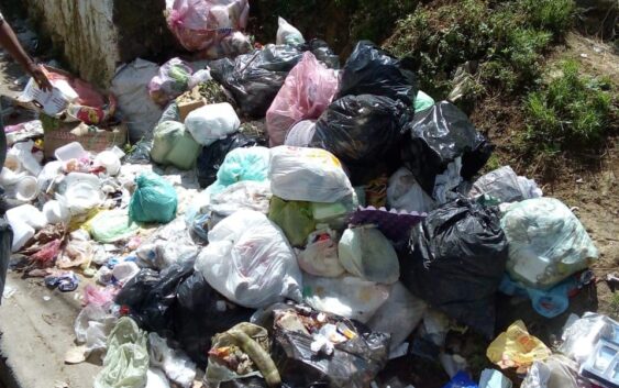 Hay falta de recolección de basura en colonias de Xalapa