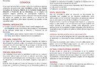 Convoca CEAPP a sociedad civil para integrar Consejo Consultivo de Gobierno Abierto