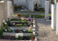 ¿10 millones de muertes por covid en 2022? Una posibilidad,según la OMS