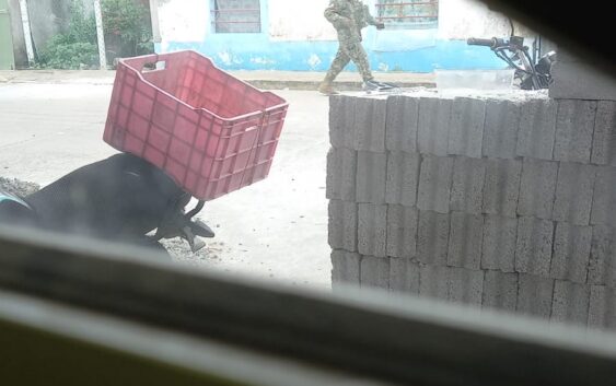 ? | Grupo de Transportistas Convocan a Plantón para cerrar el circuito bicentenario de Zumpango el día de mañana viernes