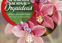 Córdoba, sede de la Exposición Nacional de Orquídeas