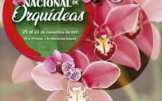 Córdoba, sede de la Exposición Nacional de Orquídeas