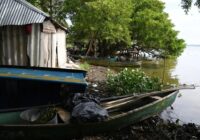 Al menos 65 cuerpos encuentran en fosa clandestina de Veracruz Al menos 65 cuerpos encuentran en fosa clandestina de Veracruz