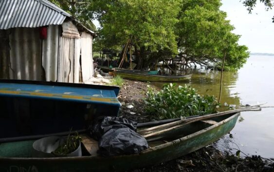 Al menos 65 cuerpos encuentran en fosa clandestina de Veracruz