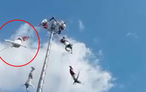 Volador de Papantla cae de altura de 25 metros en Puebla; video se hace viral en redes