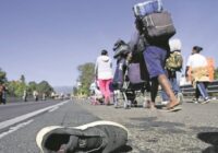 Atoran 95% de iniciativas para proteger a migrantes