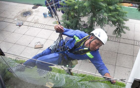 Las bajas injustificadas impactan negativamente en la continuidad de los derechos laborales: IMSS, INFONAVIT y STPS