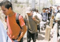 Senador del PVEM llama a reforzar protección de derechos laborales de migrantes mexicanos