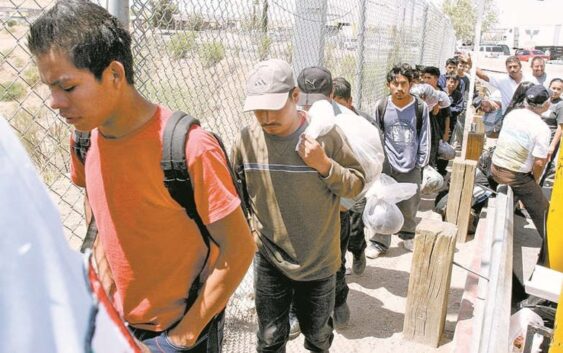 Senador del PVEM llama a reforzar protección de derechos laborales de migrantes mexicanos