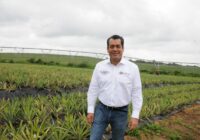 Desarrollar el campo veracruzano es cumplir con la Ley Agraria: Sergio Gutiérrez Luna