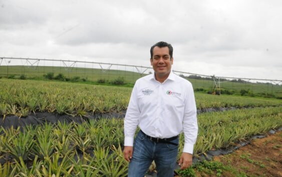 Desarrollar el campo veracruzano es cumplir con la Ley Agraria: Sergio Gutiérrez Luna