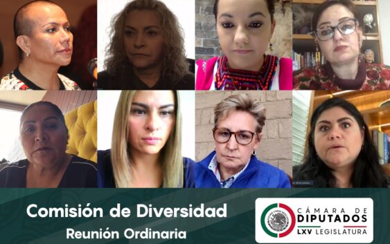 Avala Comisión de Diversidad reformas a la Ley Federal para Prevenir y Eliminar la Discriminación