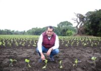 A preservar el patrimonio ambiental de Veracruz convoca Sergio Gutiérrez Luna