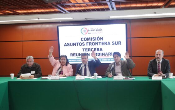 La Comisión Asuntos Frontera Sur se reunió con el titular del Instituto Nacional de la Economía Social