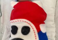 Registra IMSS Veracruz Sur primeros