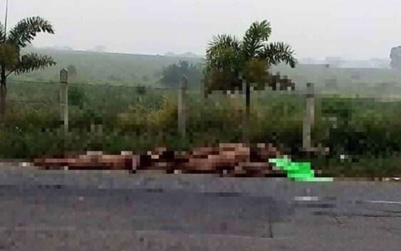 Detienen a cuatro y aseguran ados inmuebles en Tres Valles por los 9 cuerpos arrojados en La Tinaja-Isla