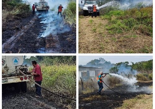 Elementos de PC de Medellín sofocan fuego de pastizal en colonia Alvaradito de Paso del Toro