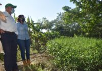 Arranca Jornada de Limpieza en el Arroyo Tepeyac