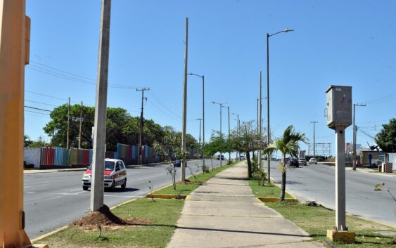 Restauran luminarias de principales avenidas de Coatzacoalcos