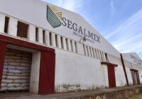 El cochinero de Ovalle en Segalmex (1)