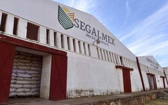 El cochinero de Ovalle en Segalmex (1)