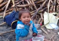 Niños expuestos en el corte de caña Niños expuestos en el corte de caña