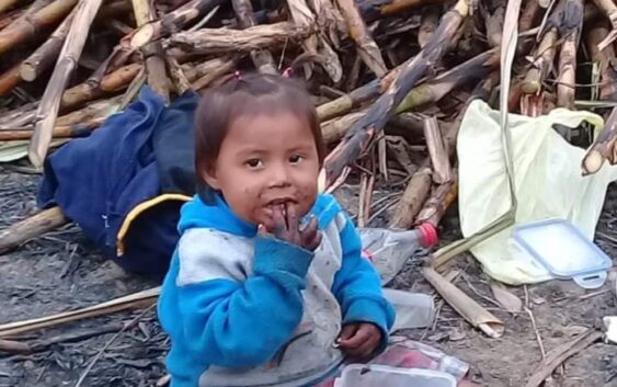 Niños expuestos en el corte de caña