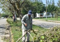 Atiende Ayuntamiento áreas verdes de la ciudad