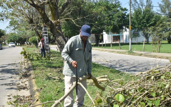 Atiende Ayuntamiento áreas verdes de la ciudad