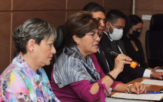 Legisla Morena en favor de políticas públicas de género: Hernández Espejo