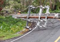 Vientos de norte derriban árbol y poste en Catemaco