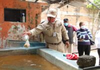 APLICAN ABATE PARA PREVENIR EL DENGUE EN RÍO BLANCO