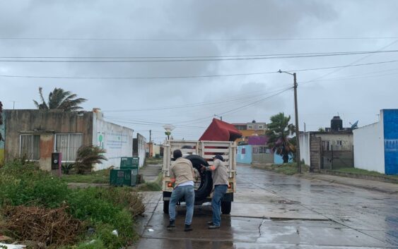 Inicia descacharrización en colonias de Coatzacoalcos