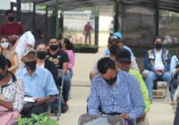 Se reunen apicultores de Cosoleacaque en el vivero municipal para dialogar y exponer información en relación del trabajo y productividad que realizan con las abejas. Se reunen apicultores de Cosoleacaque en el vivero municipal para dialogar y exponer información en relación del trabajo y productividad que realizan con las abejas.