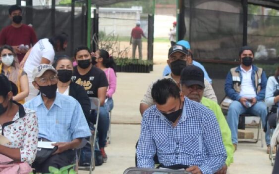 Se reunen apicultores de Cosoleacaque en el vivero municipal para dialogar y exponer información en relación del trabajo y productividad que realizan con las abejas.