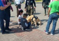 Más claro— Por Felipe Mendiola Parra Más claro— Por Felipe Mendiola Parra