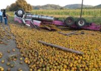 Conductor tiró las naranjas y a punto estuvo de morir en incendio Conductor tiró las naranjas y a punto estuvo de morir en incendio