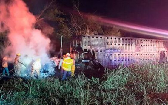 Choca tráiler en autopista y muere su conductor, en Tihuatlán