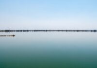 El Lago de Texcoco, donde querían el NAIM, desde hoy será Área Natural Protegida