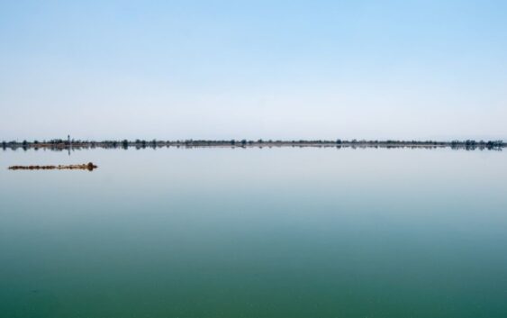 El Lago de Texcoco, donde querían el NAIM, desde hoy será Área Natural Protegida
