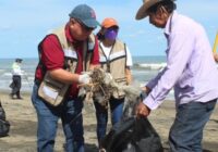 Noe Castillo Olvera, alcalde de Agua Dulce, y 500 personas más, limpiaron 7 kilómetros playa, entre ellas, «Las Palmitas»