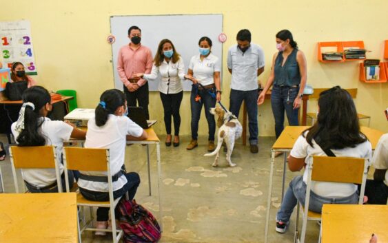 Prevén maltrato a mascotas con “Pláticas de Protección Animal”