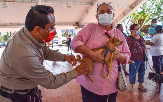 Realizan jornada de vacunación canina y felina