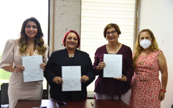 Aprueba Comisión de Salud y Asistencia su Programa Anual de Trabajo