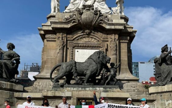 “Tigres del Golfo y el Caribe”, contra BP ante la Semarnat