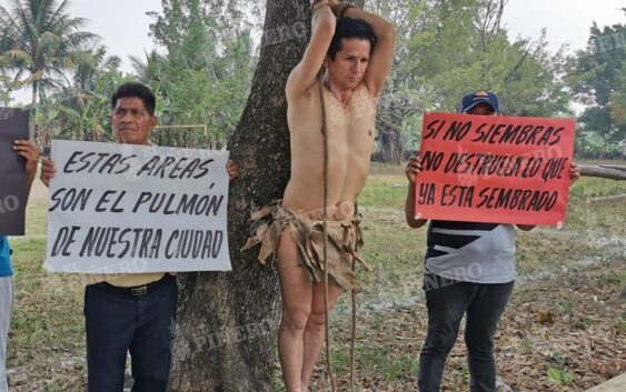 Ambientalistas se “crucifican” ante la muerte de cientos de árboles para dar paso a obra del Gobierno Federal en Tuxtepec